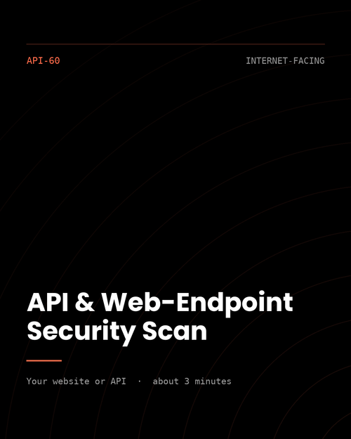 ThreatVector QuickScan — API & Web-Endpoint Security Scan (API-60)