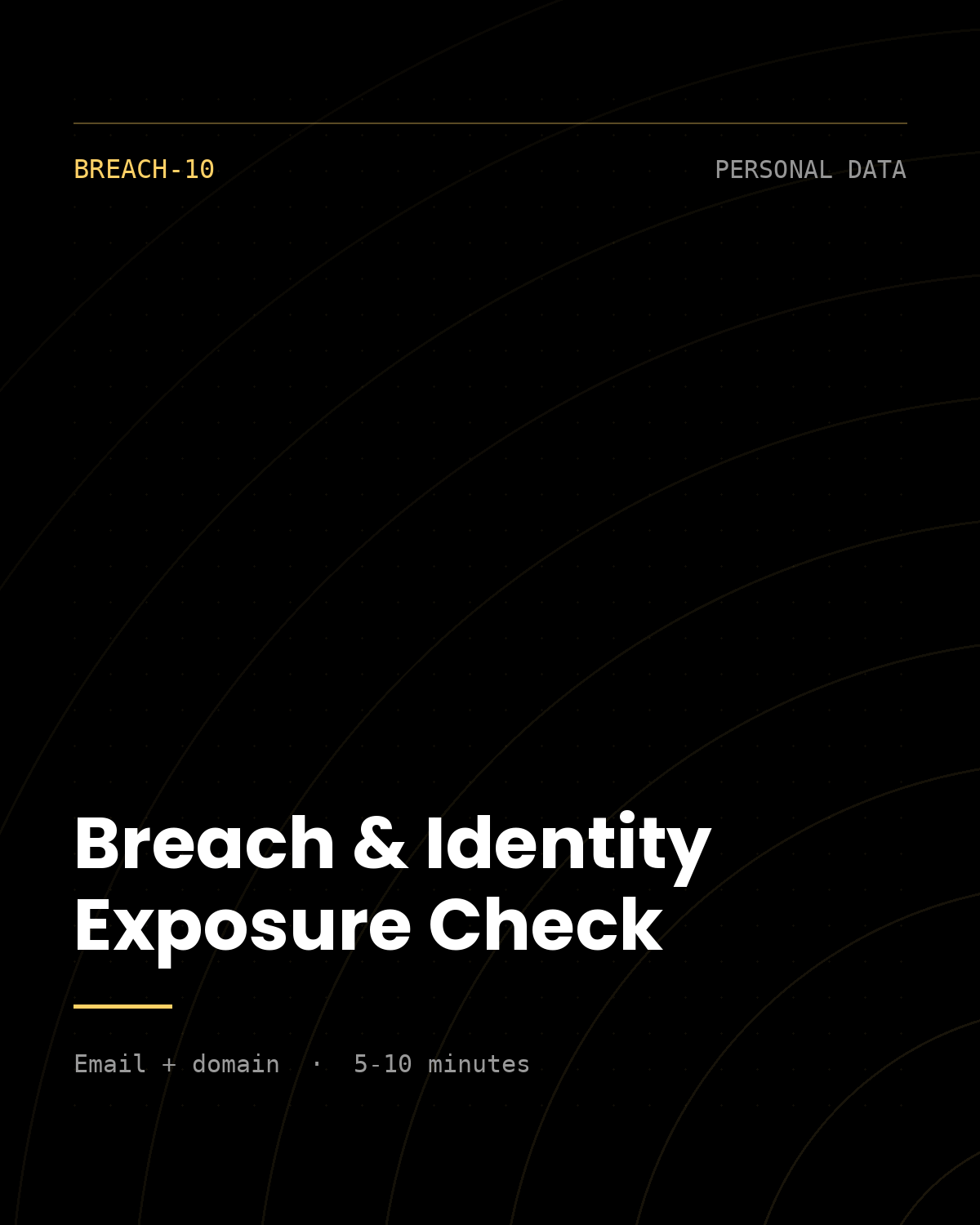 ThreatVector QuickScan — Breach & Identity Exposure Check (BREACH-10)