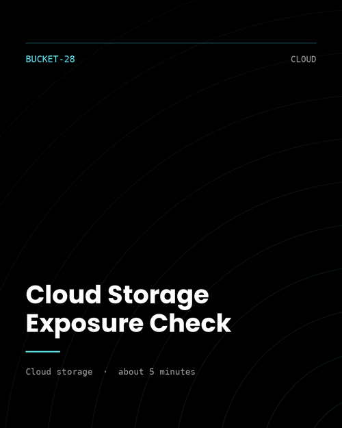 ThreatVector QuickScan — Cloud Storage Exposure Check (BUCKET-28)