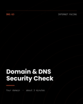 ThreatVector QuickScan — Domain & DNS Security Check (DNS-63)