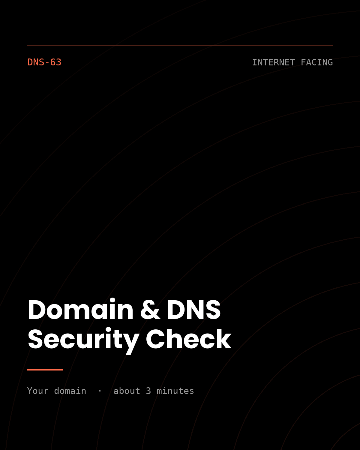 ThreatVector QuickScan — Domain & DNS Security Check (DNS-63)