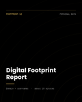 ThreatVector QuickScan — Digital Footprint Report (FOOTPRINT-12)