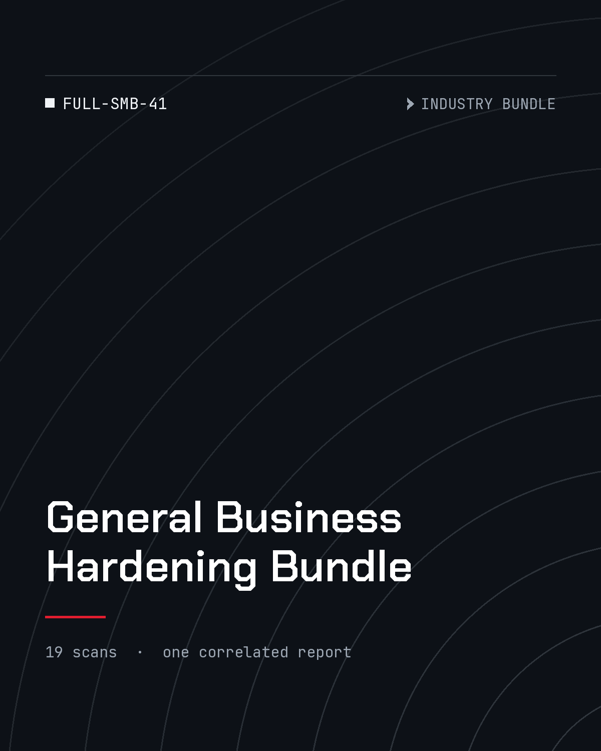 ThreatVector QuickScan — General Business Hardening Bundle (FULL-SMB-41)