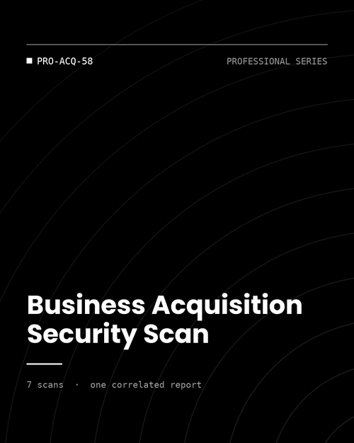 ThreatVector QuickScan — Business Acquisition Security Scan (PRO-ACQ-58)
