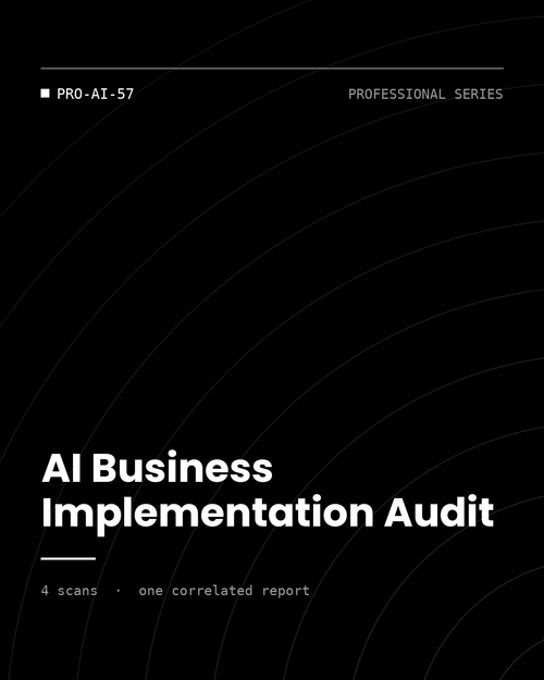 ThreatVector QuickScan — AI Business Implementation Audit (PRO-AI-57)