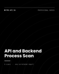 ThreatVector QuickScan — API and Backend Process Scan (PRO-API-56)