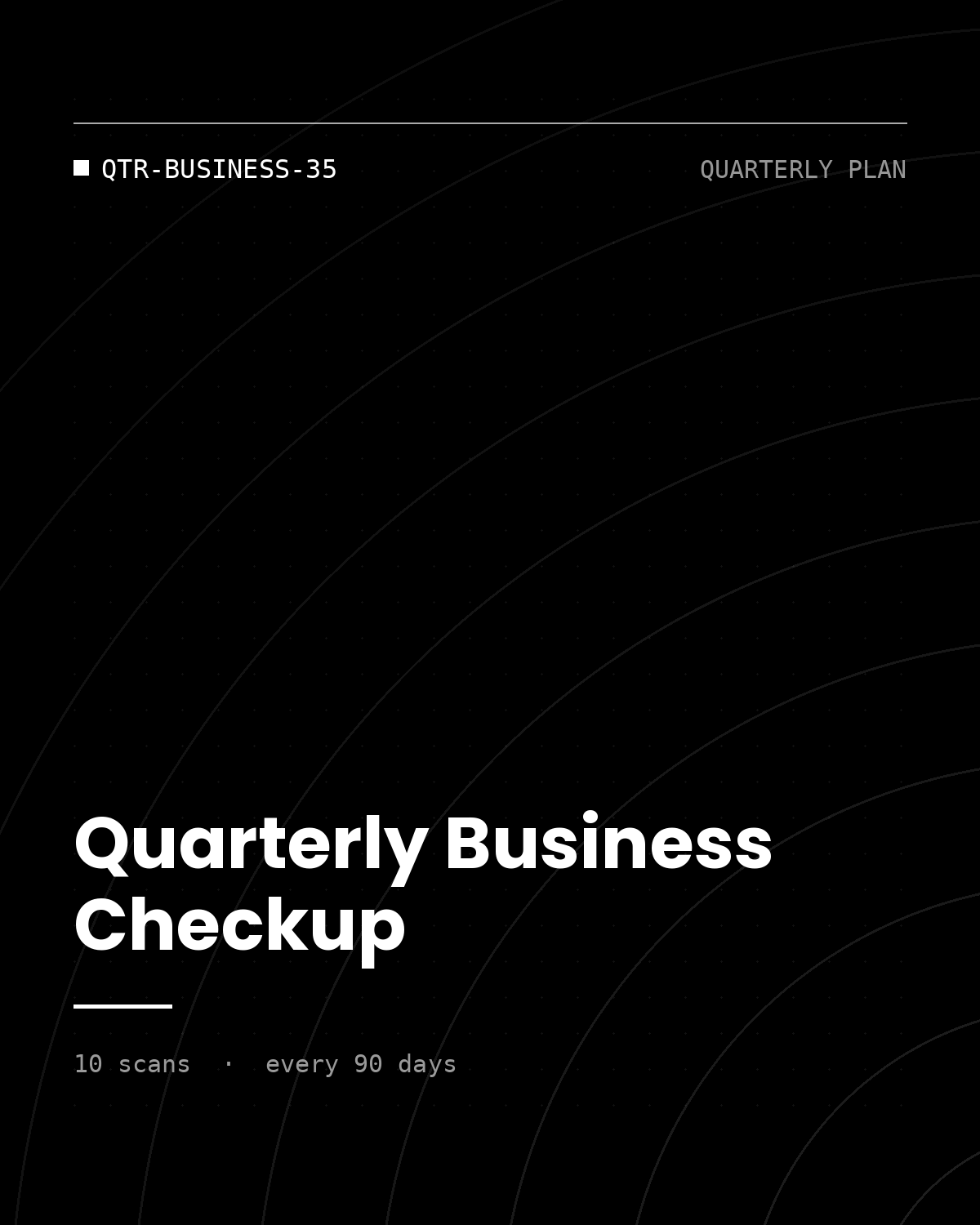 ThreatVector QuickScan — Quarterly Business Checkup (QTR-BUSINESS-35)