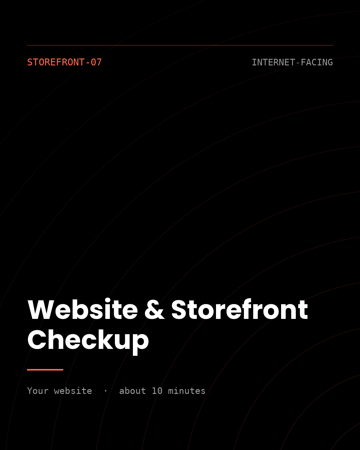 ThreatVector QuickScan — Website & Storefront Checkup (STOREFRONT-07)