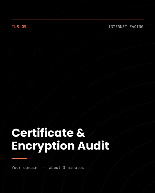 ThreatVector QuickScan — Certificate & Encryption Audit (TLS-09)
